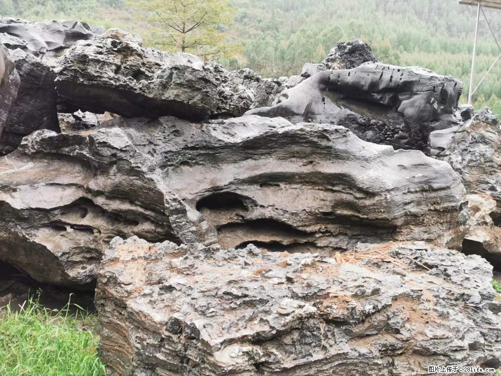 风景石、假山石大量有货,有需要的欢迎联系 - 新手上路 - 永州生活社区 - 永州28生活网 yongzhou.28life.com