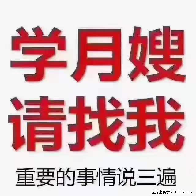 为什么要学习月嫂，育婴师？ - 其他广告 - 广告专区 - 永州分类信息 - 永州28生活网 yongzhou.28life.com