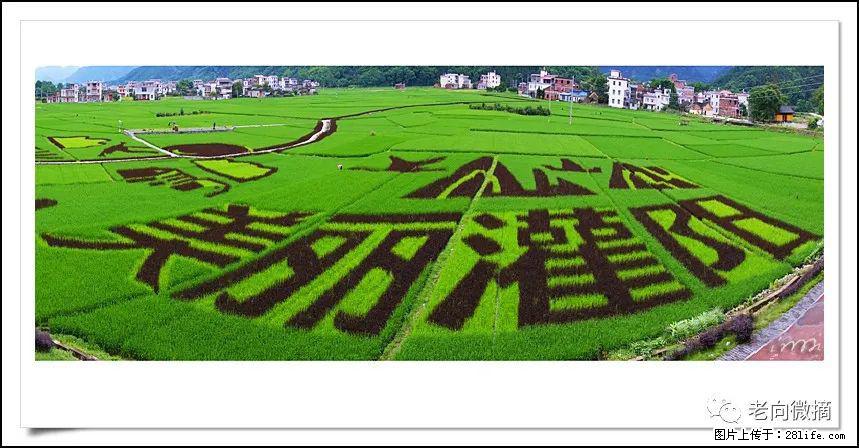 【春天，广西桂林灌阳县向您发出邀请！】开篇 - 游山玩水 - 永州生活社区 - 永州28生活网 yongzhou.28life.com