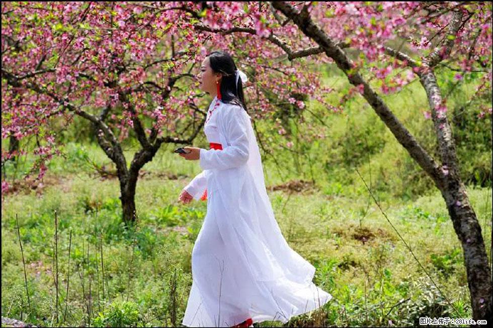 【春天，广西桂林灌阳县向您发出邀请！】官庄村有个醉美的桃花园 - 游山玩水 - 永州生活社区 - 永州28生活网 yongzhou.28life.com