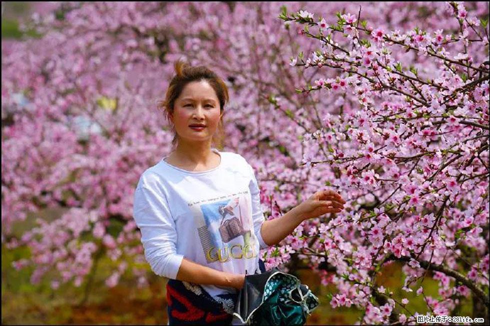【春天，广西桂林灌阳县向您发出邀请！】官庄村有个醉美的桃花园 - 游山玩水 - 永州生活社区 - 永州28生活网 yongzhou.28life.com