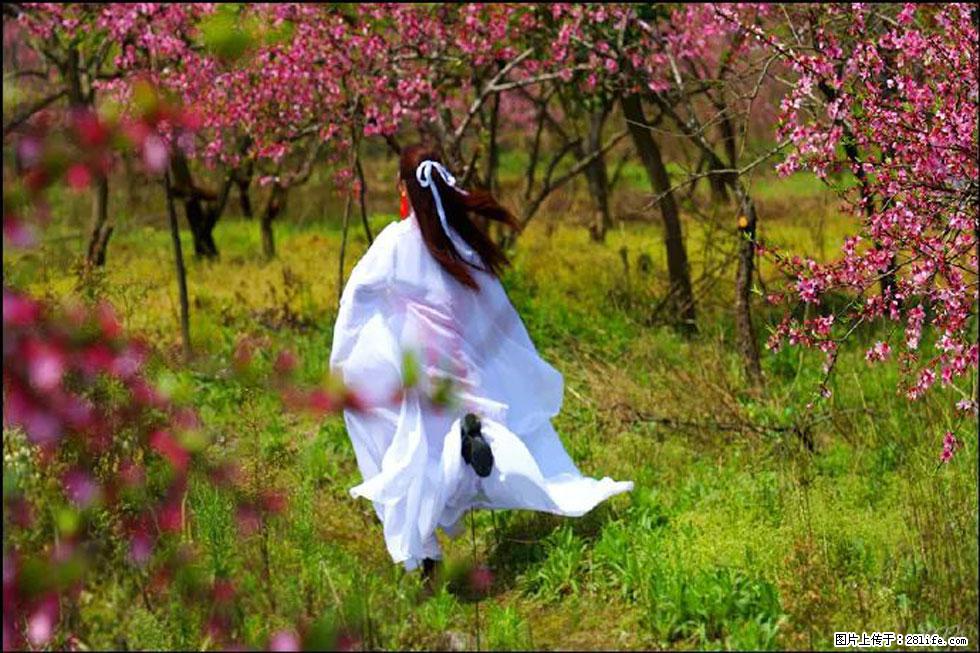 【春天，广西桂林灌阳县向您发出邀请！】官庄村有个醉美的桃花园 - 游山玩水 - 永州生活社区 - 永州28生活网 yongzhou.28life.com