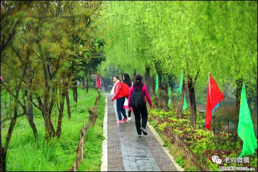【春天，广西桂林灌阳县向您发出邀请！】江口老街又逢春 - 游山玩水 - 永州生活社区 - 永州28生活网 yongzhou.28life.com