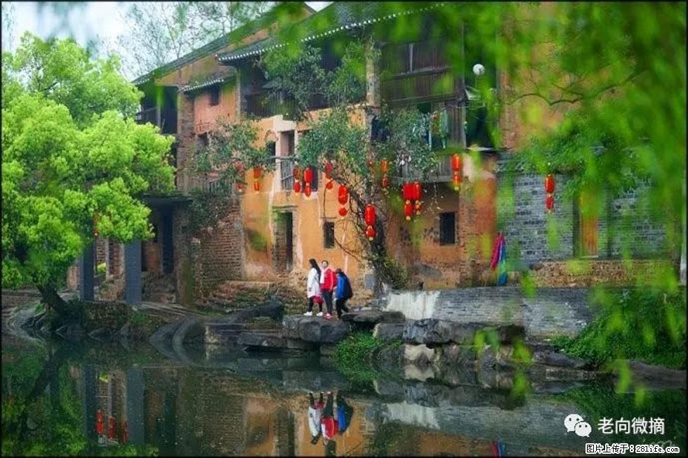 【春天，广西桂林灌阳县向您发出邀请！】江口老街又逢春 - 游山玩水 - 永州生活社区 - 永州28生活网 yongzhou.28life.com