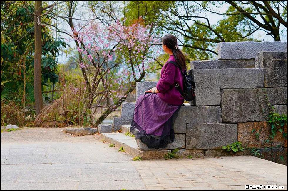 【春天，广西桂林灌阳县向您发出邀请！】江口老街又逢春 - 游山玩水 - 永州生活社区 - 永州28生活网 yongzhou.28life.com