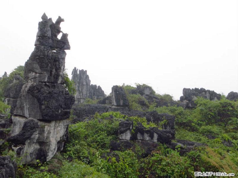 桂林旅游名城景点：灌阳文市石林 - 游山玩水 - 永州生活社区 - 永州28生活网 yongzhou.28life.com