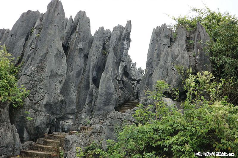 桂林旅游名城景点：灌阳文市石林 - 游山玩水 - 永州生活社区 - 永州28生活网 yongzhou.28life.com