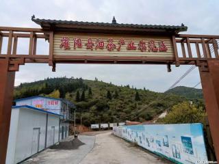 【灌阳县油茶产业示范区】一个有着充实的精神生活的人,对待身外之物自会有一种淡泊的态度 - 永州28生活网 yongzhou.28life.com