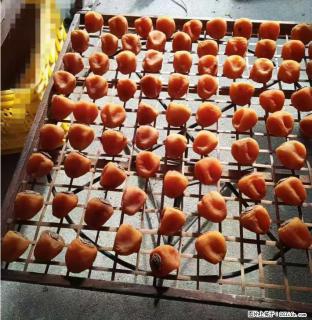 广西桂林平乐桥亭【柿饼之乡】2025年纯手工制作、无任何添加剂的第一批柿饼准备上市了，欢迎联系订购！ - 永州28生活网 yongzhou.28life.com