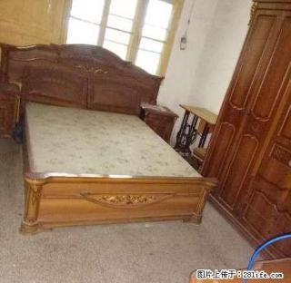 区林业局宿舍（环境超好+停车免费无需物业费）白菜价600元 - 永州28生活网 yongzhou.28life.com