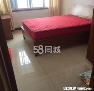 三多亭 一室一厅一卫60平 精装修 家电家具齐全 拎包入住 - 永州28生活网 yongzhou.28life.com