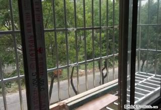 跃进小区 绿化超好 房 免费停车 2室1厅1卫 - 永州28生活网 yongzhou.28life.com