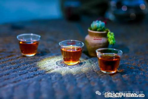 时间果百年古树2025年春红茶 - 购物交流 - 永州生活社区 - 永州28生活网 yongzhou.28life.com