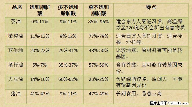 揭秘茶油的5大核心营养成分!被称为人体健康的“守护盾”! - 永州生活资讯 - 永州28生活网 yongzhou.28life.com
