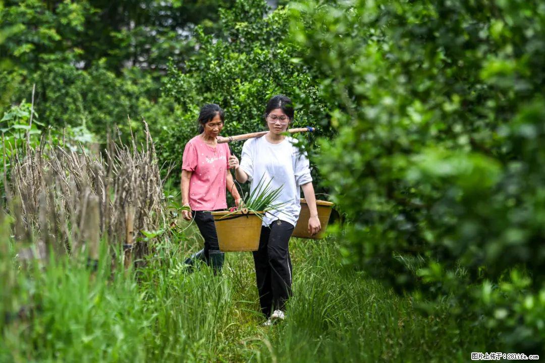 全网追的“扁担女孩”，找了一份暑假工，时薪12元 - 永州生活资讯 - 永州28生活网 yongzhou.28life.com