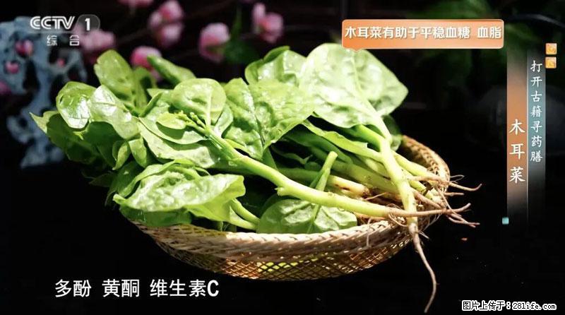比牛奶补钙还厉害！凉血解毒、稳血糖...这菜冬天必吃，很多人却当草 - 永州生活资讯 - 永州28生活网 yongzhou.28life.com