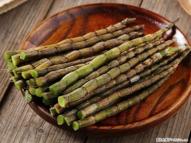 铁皮石斛的作用与功能主治 - 永州生活资讯 - 永州28生活网 yongzhou.28life.com